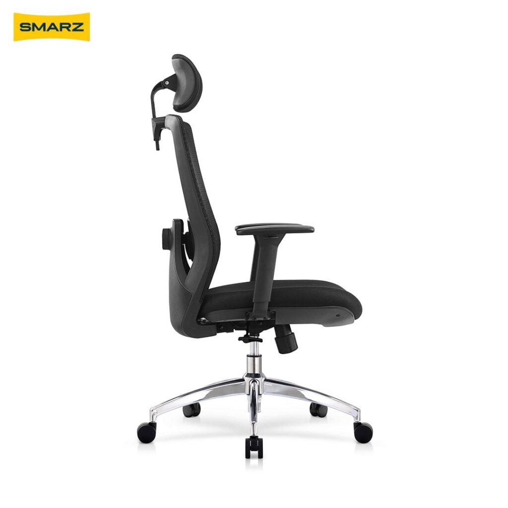 Dorzaal Ergonomic Chair (Rich Black)