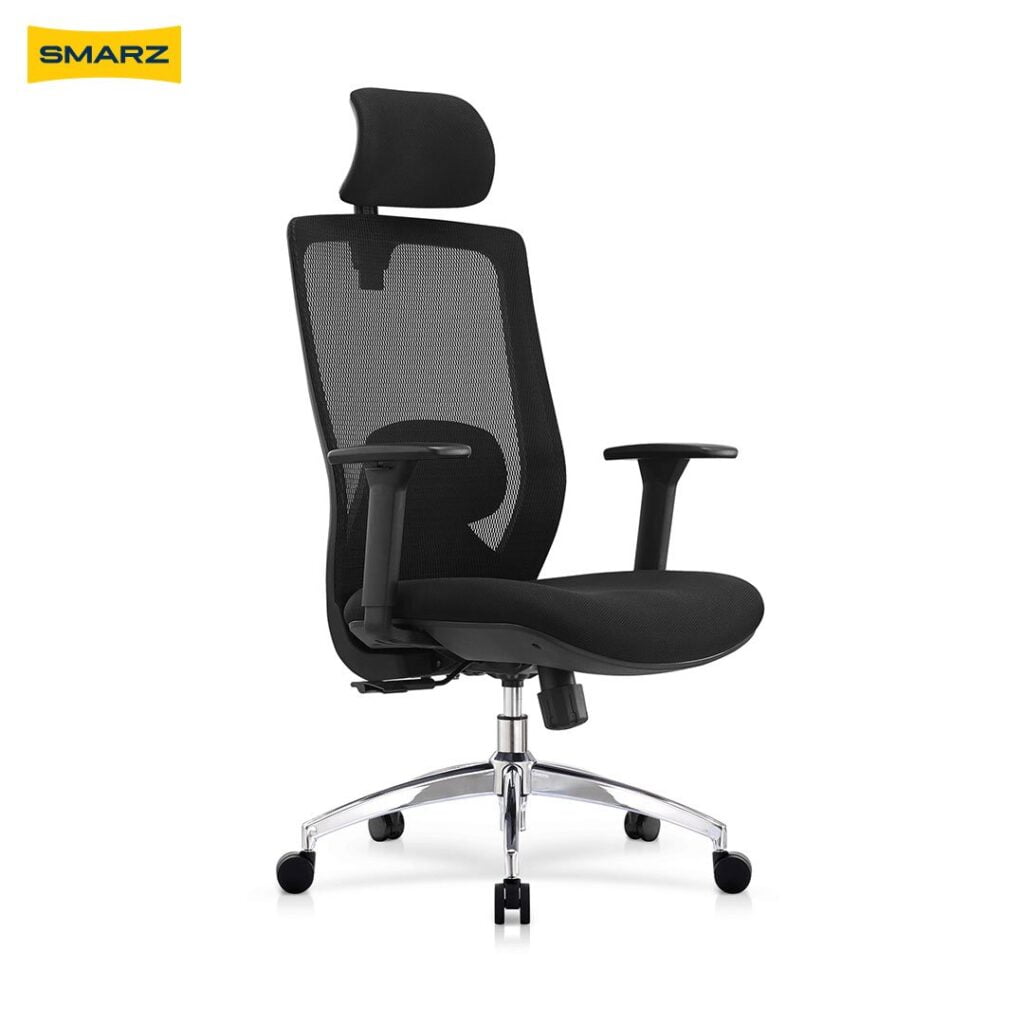 Dorzaal Ergonomic Chair (Rich Black)
