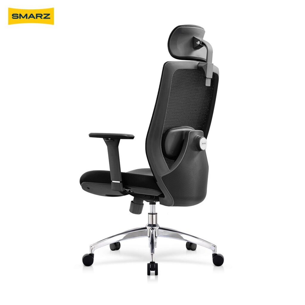 Dorzaal Ergonomic Chair (Rich Black)