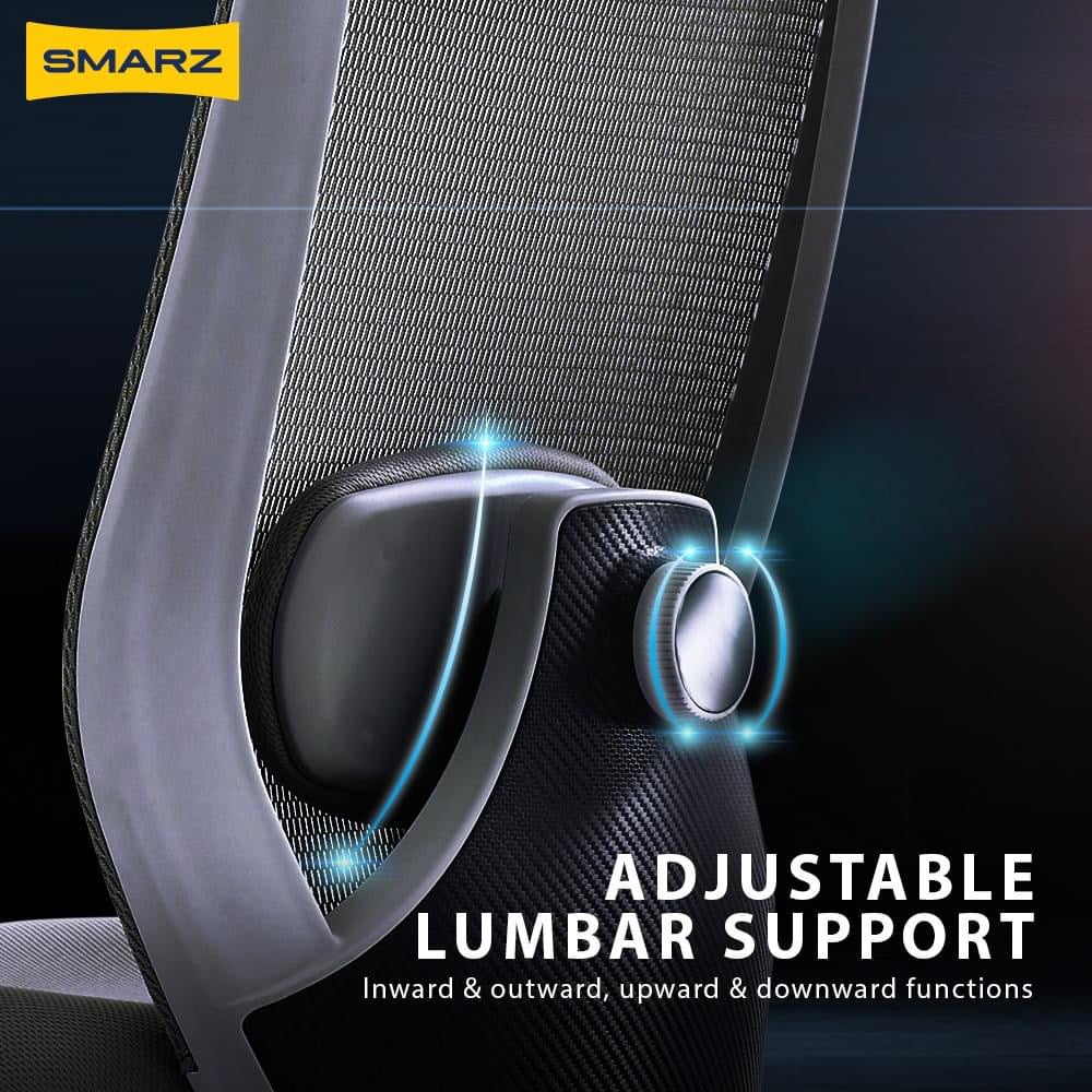 Dorzaal Ergonomic Chair (Rich Black)