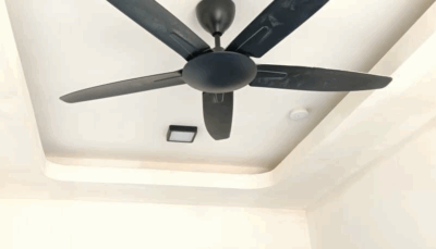 Full Renovation