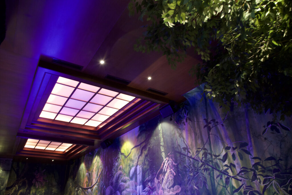 Interior Design & Build